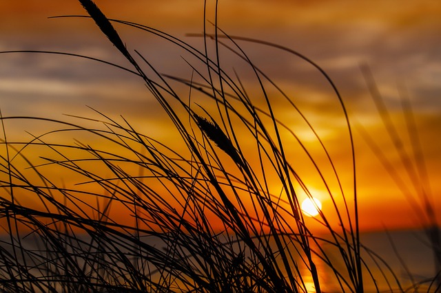 Fra barndom til investering: Pokémonkortenes stigende værdi i danmark